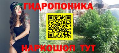 герыч Краснодар