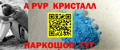 СК Краснознаменск