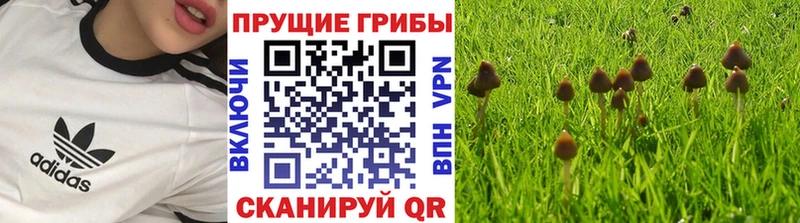 Галлюциногенные грибы MAGIC MUSHROOMS  Карталы 