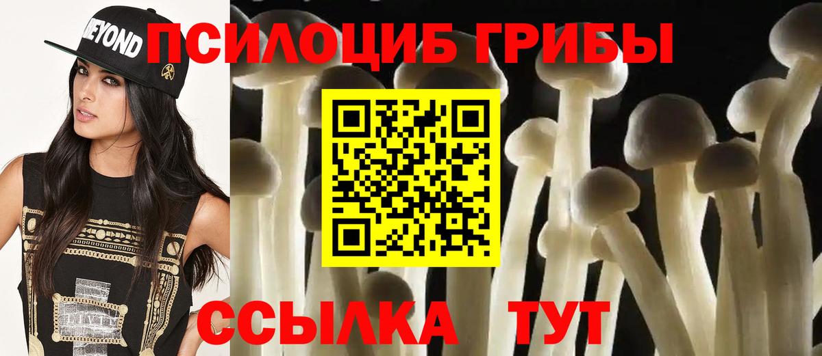 Карталы  Галлюциногенные грибы ЛСД  Галлюциногенные грибы Psilocybe  Вход с VPN 